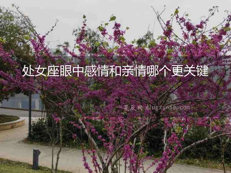 處女座眼中感情和親情哪個(gè)更關(guān)鍵