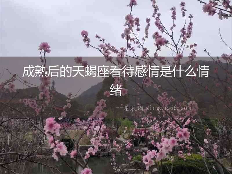 成熟后的天蝎座看待感情是什么情緒
