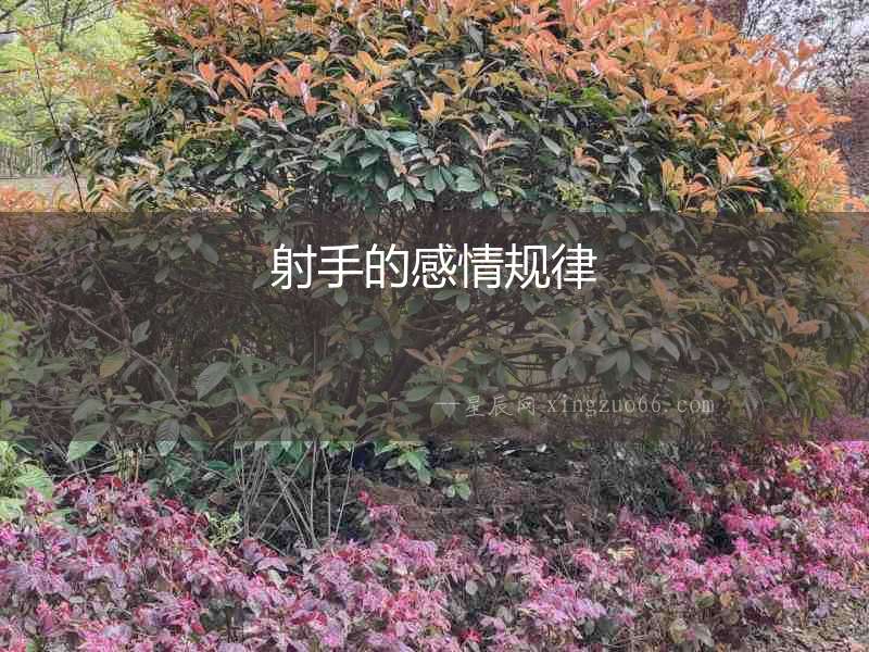 射手的感情規(guī)律