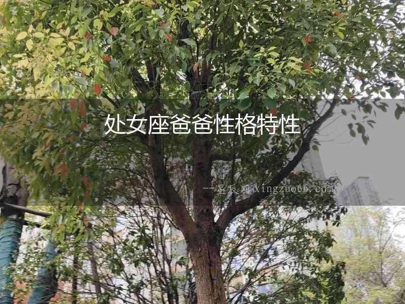 處女座爸爸性格特性