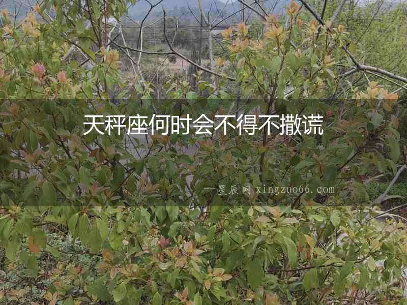 天秤座何時(shí)會(huì)不得不撒謊