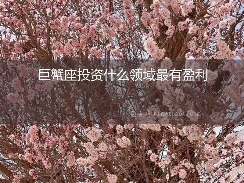 巨蟹座投資什么領(lǐng)域最有盈利