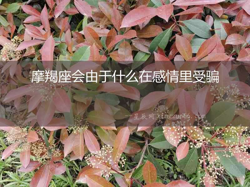 摩羯座會(huì)由于什么在感情里受騙