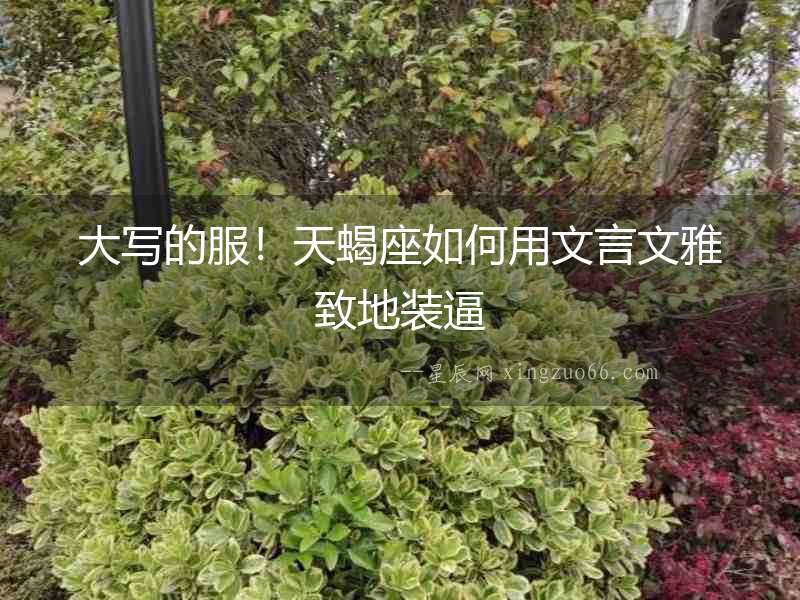 大寫的服！天蝎座如何用文言文雅致地裝逼