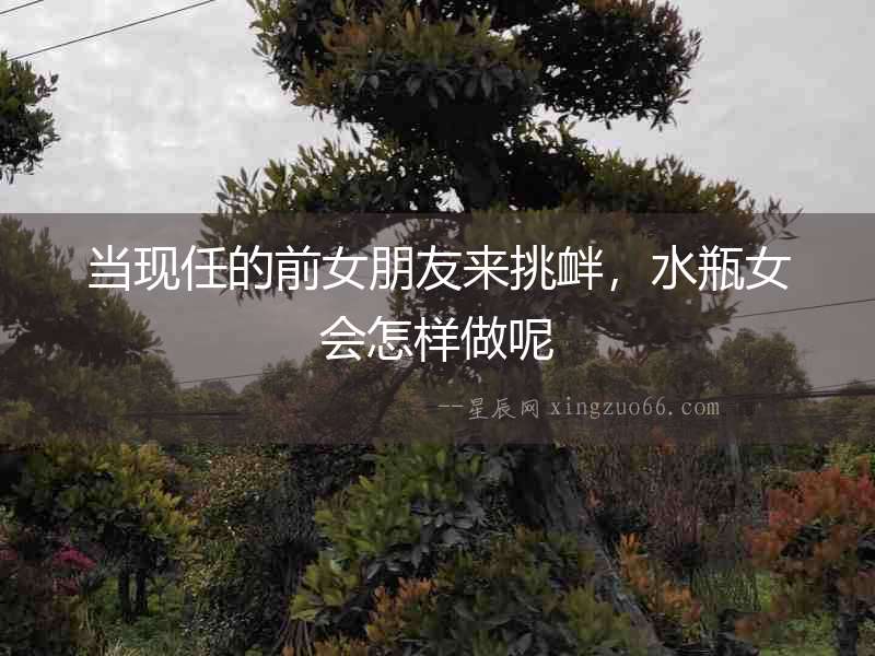 當現任的前女朋友來挑釁，水瓶女會怎樣做呢