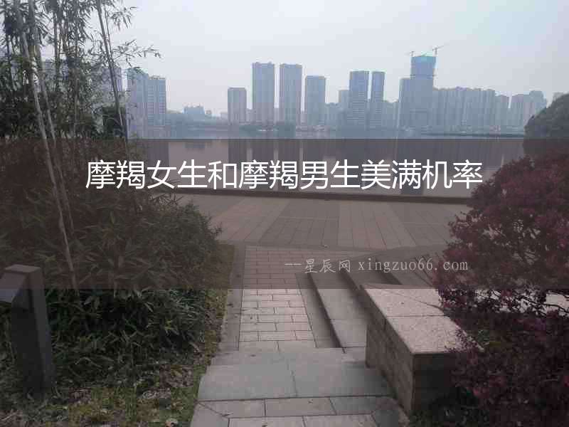 摩羯女生和摩羯男生美滿機率