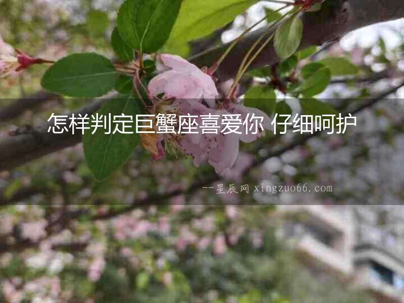 怎樣判定巨蟹座喜愛你 仔細(xì)呵護(hù)