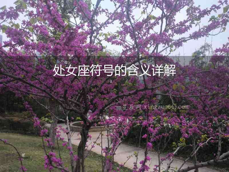 處女座符號(hào)的含義詳解