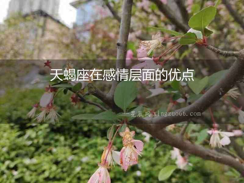 天蝎座在感情層面的優(yōu)點(diǎn)