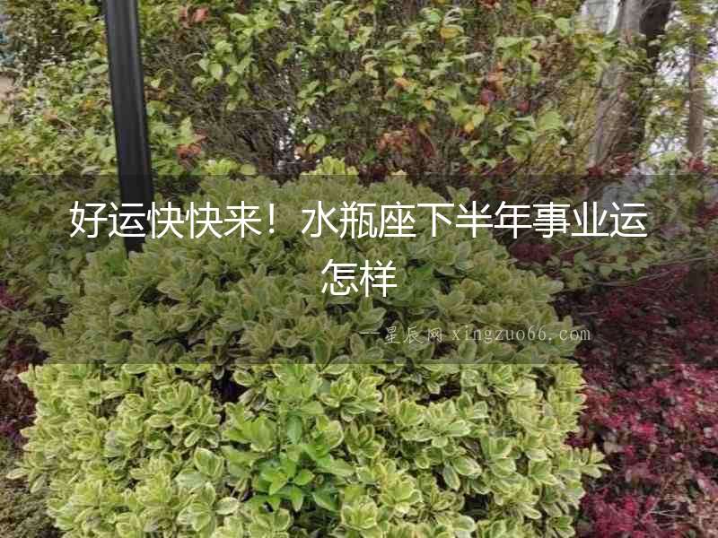 好運快快來！水瓶座下半年事業運怎樣
