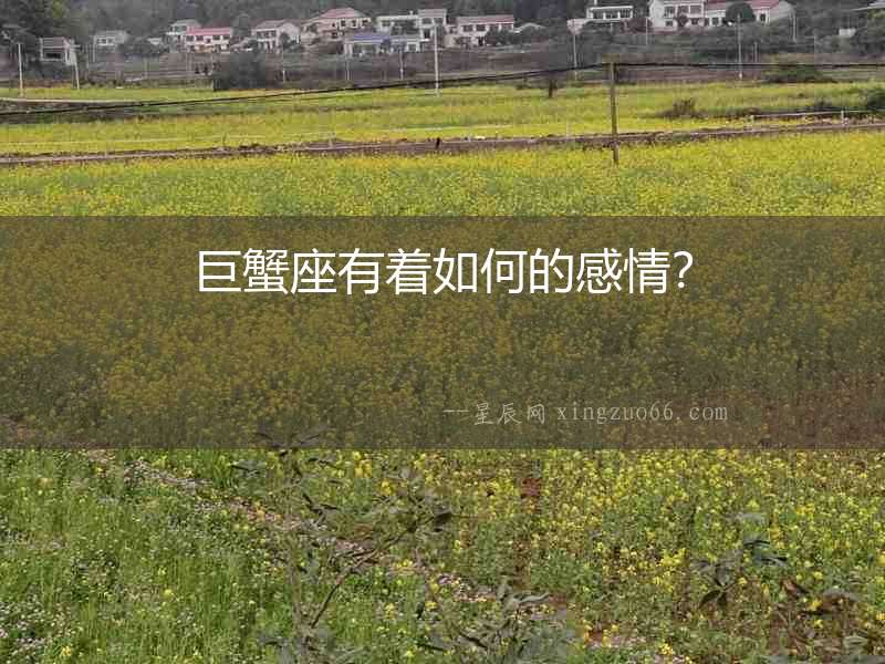 巨蟹座有著如何的感情？