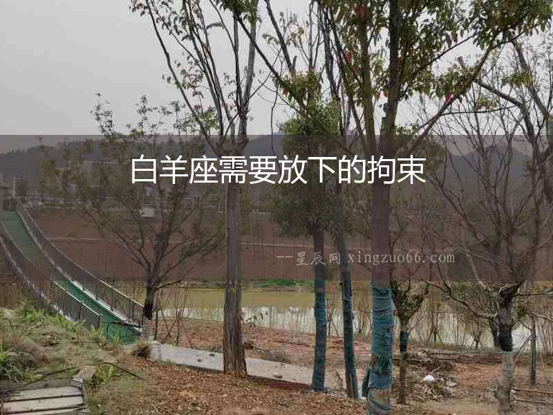 白羊座需要放下的拘束