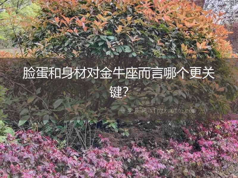 臉蛋和身材對金牛座而言哪個更關鍵？