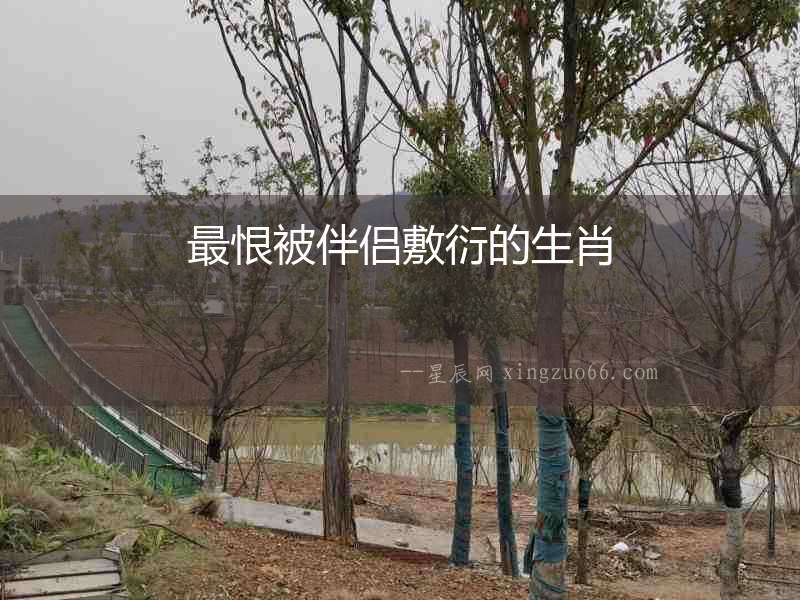 最恨被伴侶敷衍的生肖