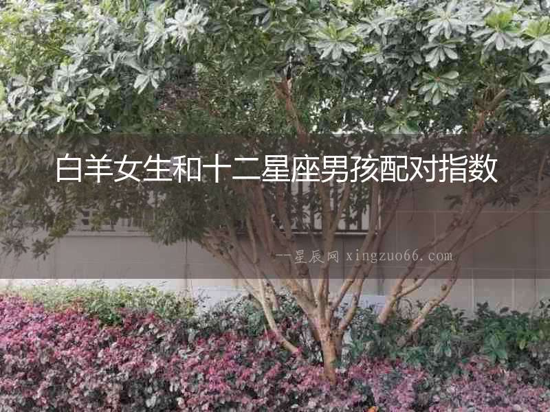 白羊女生和十二星座男孩配對指數