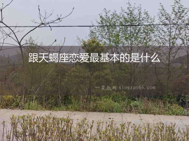 跟天蝎座戀愛最基本的是什么