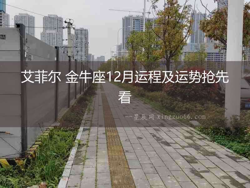 艾菲爾 金牛座12月運程及運勢搶先看