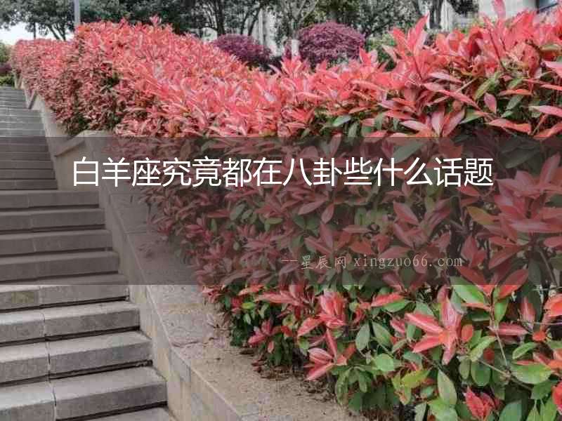白羊座究竟都在八卦些什么話題