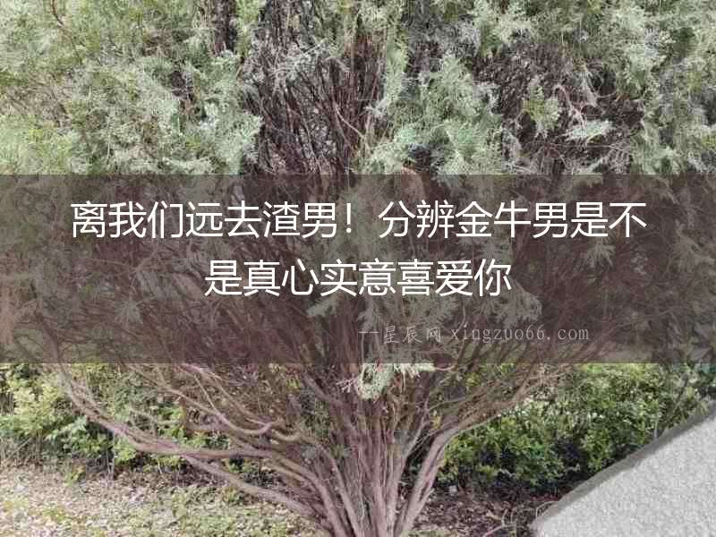 離我們遠去渣男！分辨金牛男是不是真心實意喜愛你