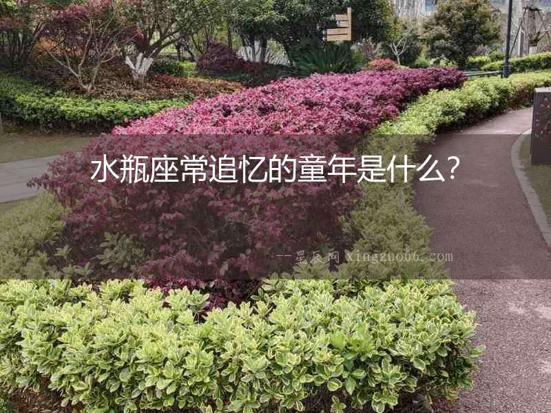 水瓶座常追憶的童年是什么？