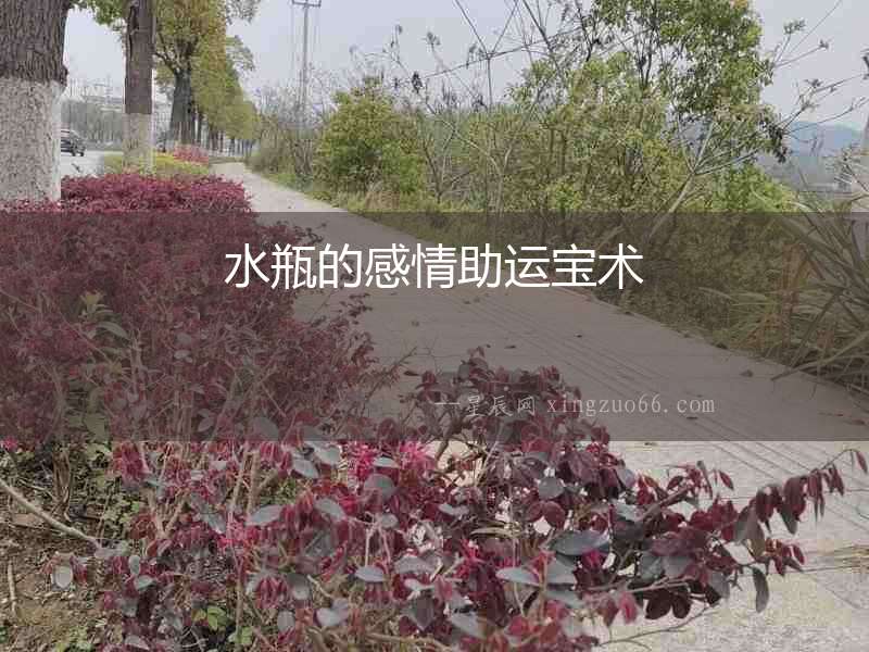水瓶的感情助運寶術