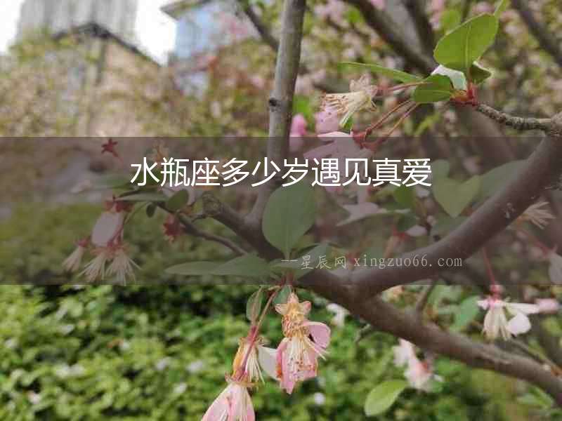 水瓶座多少歲遇見真愛