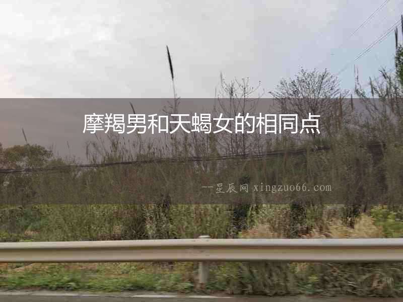 摩羯男和天蝎女的相同點(diǎn)