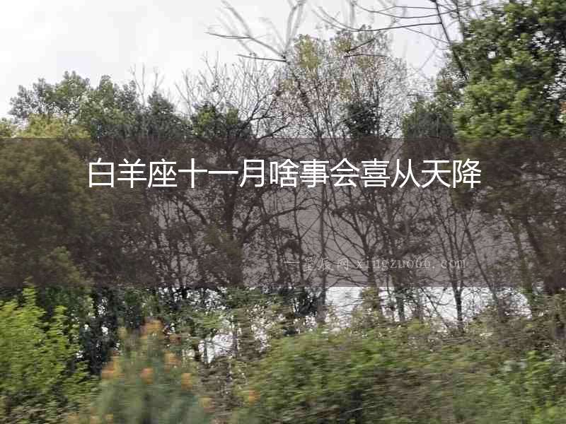 白羊座十一月啥事會喜從天降