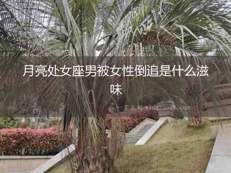 月亮處女座男被女性倒追是什么滋味