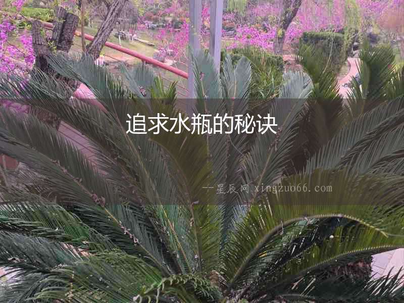 追求水瓶的秘訣
