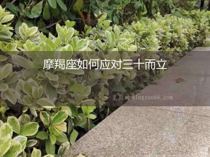 摩羯座如何應對三十而立