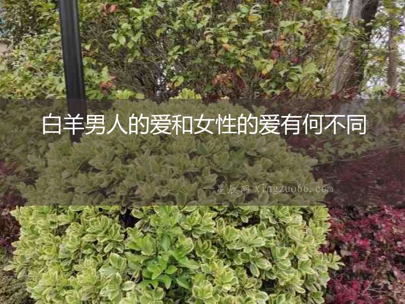 白羊男人的愛和女性的愛有何不同