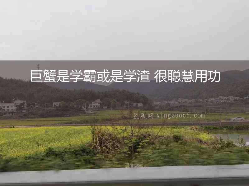 巨蟹是學霸或是學渣 很聰慧用功