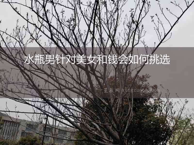 水瓶男針對美女和錢會如何挑選