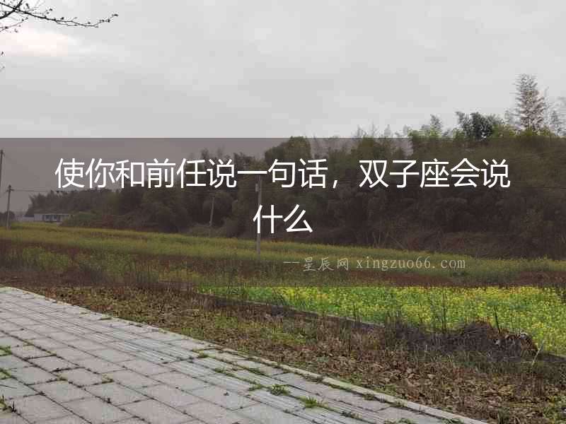 使你和前任說一句話，雙子座會說什么