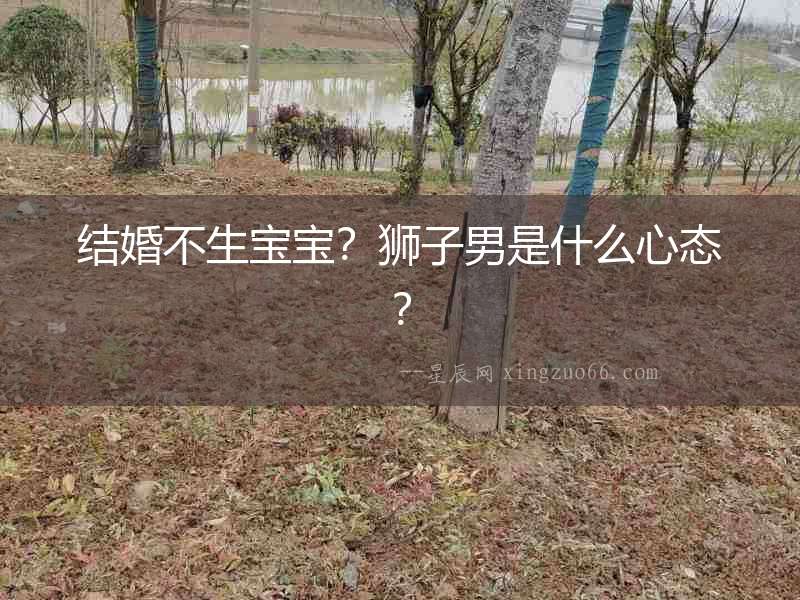 結(jié)婚不生寶寶？獅子男是什么心態(tài)？