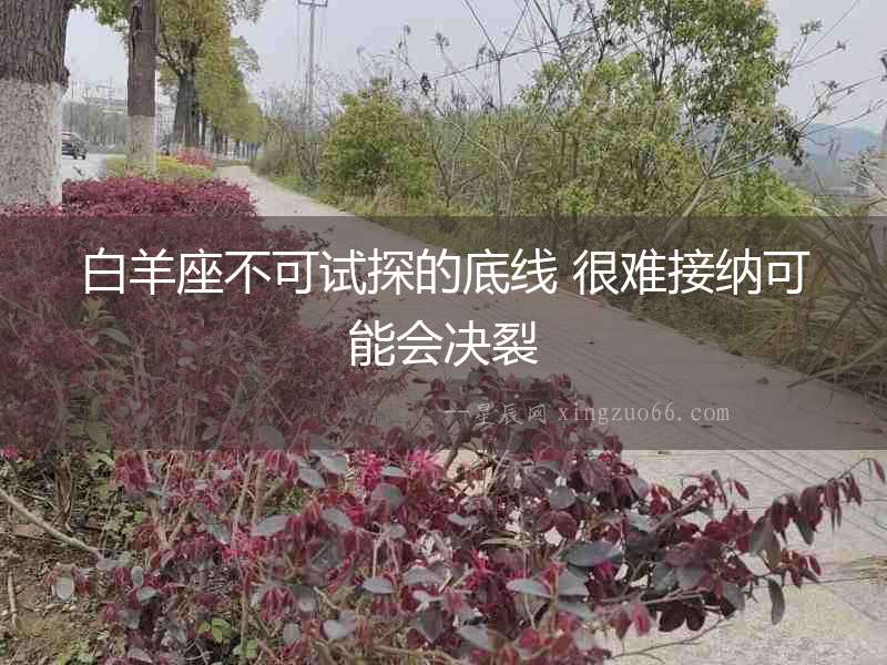 白羊座不可試探的底線 很難接納可能會決裂