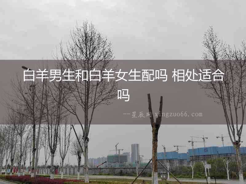 白羊男生和白羊女生配嗎 相處適合嗎