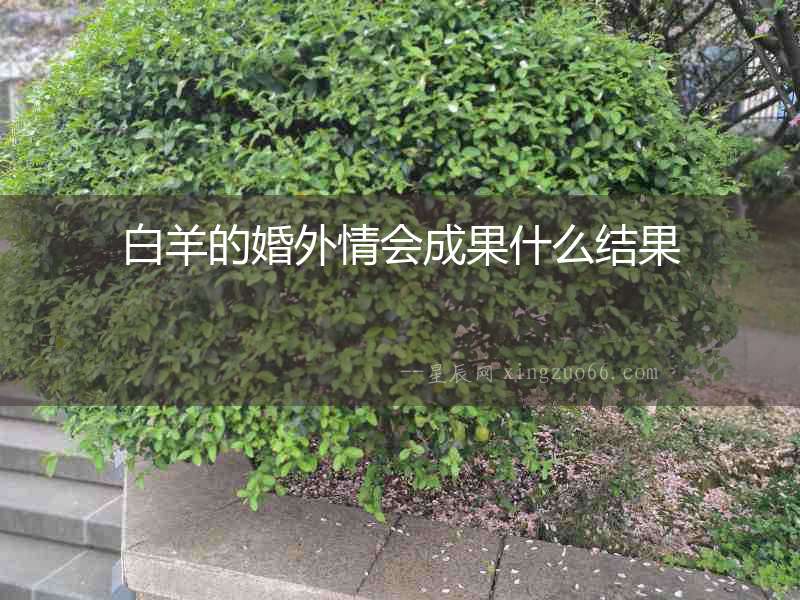白羊的婚外情會成果什么結(jié)果