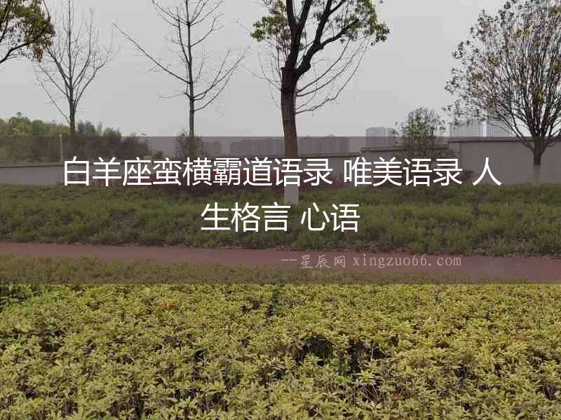 白羊座蠻橫霸道語(yǔ)錄 唯美語(yǔ)錄 人生格言 心語(yǔ)