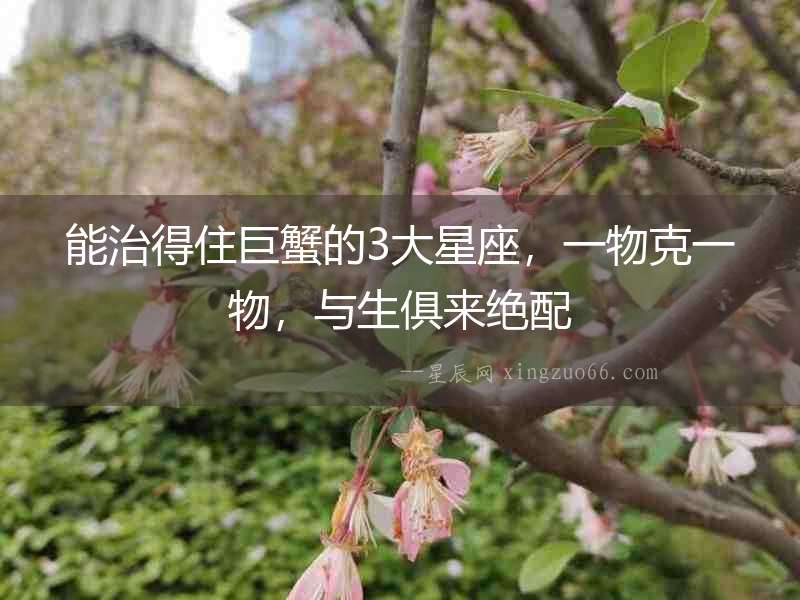 能治得住巨蟹的3大星座，一物克一物，與生俱來(lái)絕配