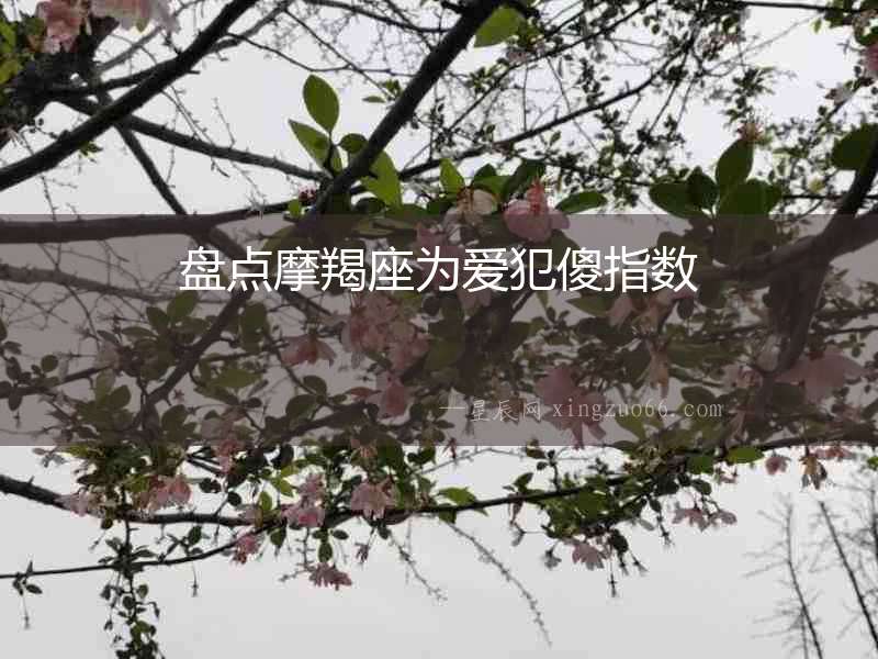 盤點摩羯座為愛犯傻指數