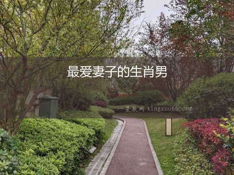 最愛(ài)妻子的生肖男