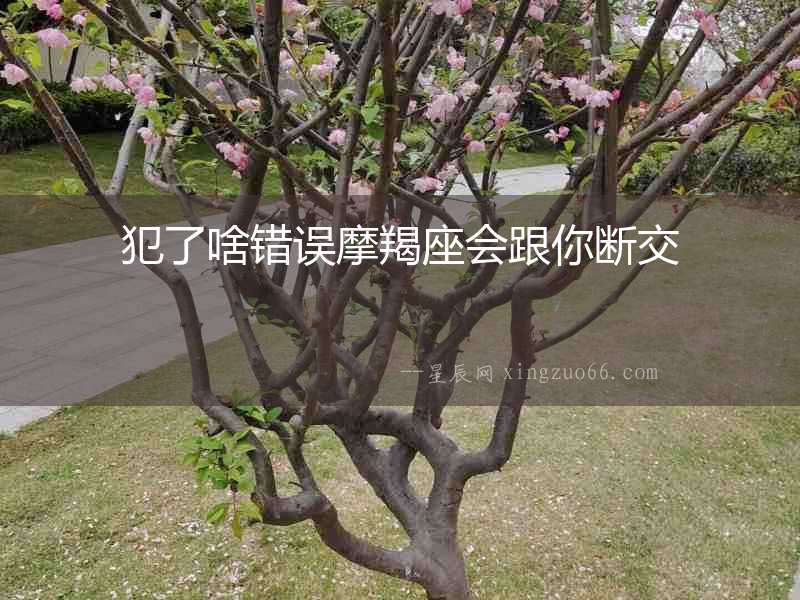 犯了啥錯(cuò)誤摩羯座會(huì)跟你斷交