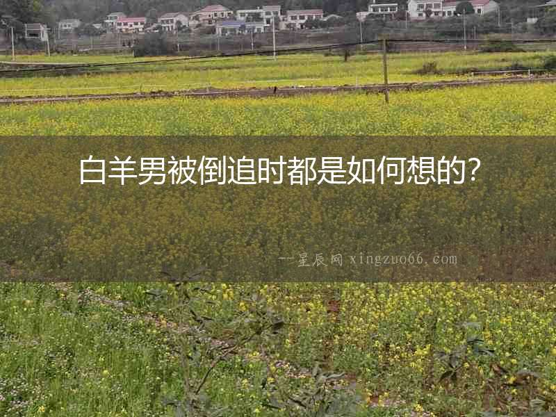 白羊男被倒追時都是如何想的？