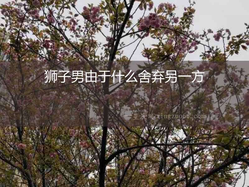 獅子男由于什么舍棄另一方