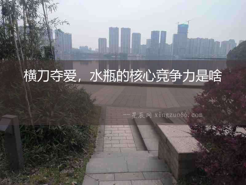 橫刀奪愛，水瓶的核心競爭力是啥