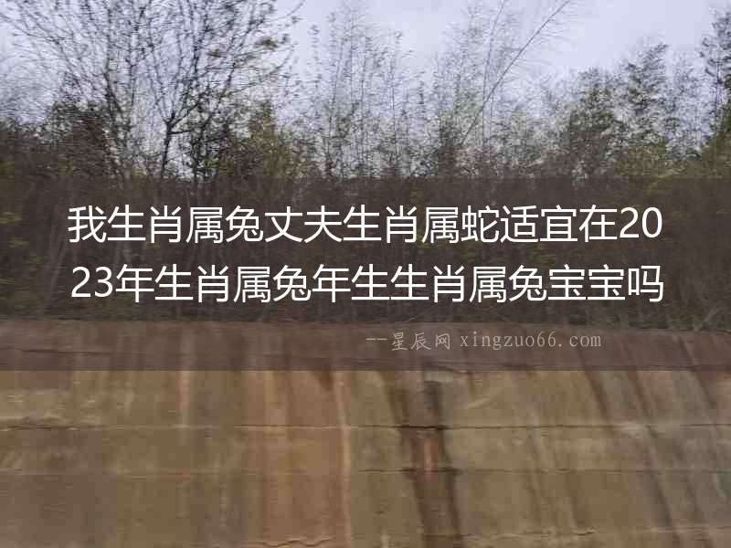 我生肖屬兔丈夫生肖屬蛇適宜在2023年生肖屬兔年生生肖屬兔寶寶嗎？