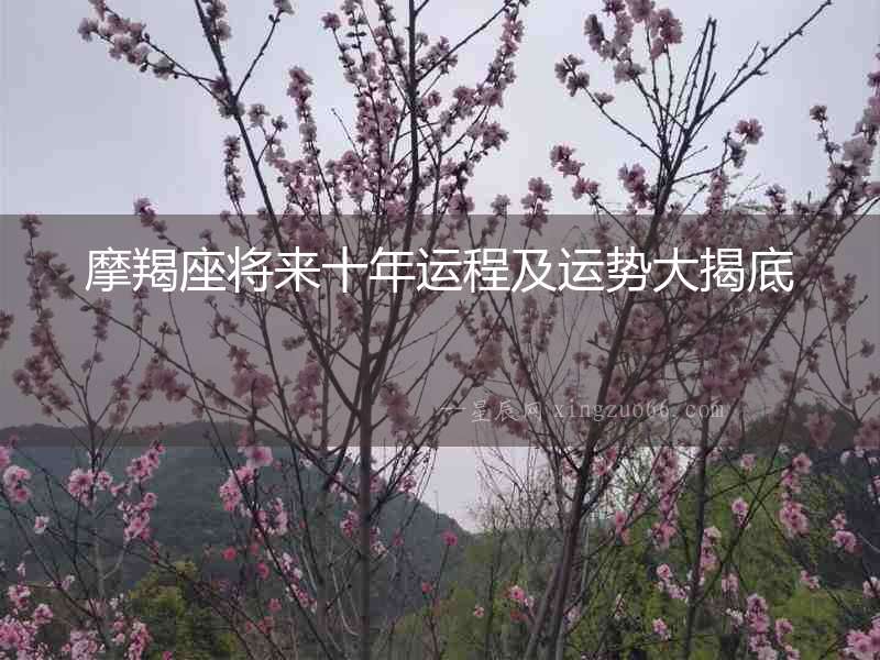 摩羯座將來十年運程及運勢大揭底