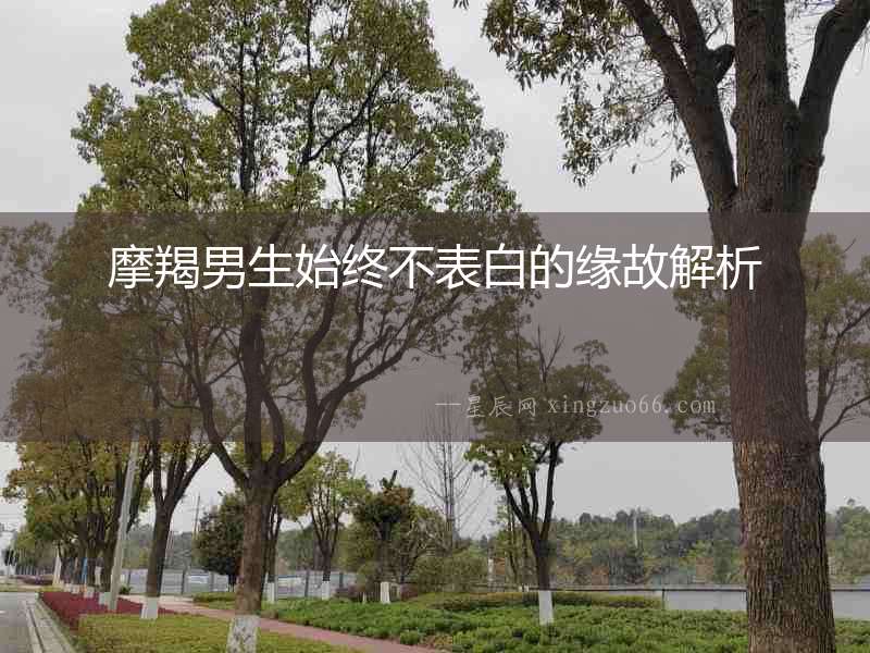 摩羯男生始終不表白的緣故解析